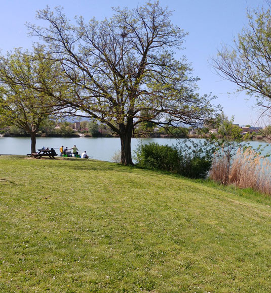 Picknick en relaxen aan het water