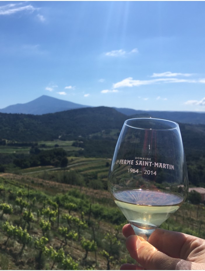 Boerderij Saint-Martin, een Provençaals pareltje @ Maisonnave