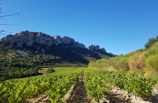 Boerderij Saint-Martin, een Provençaals pareltje