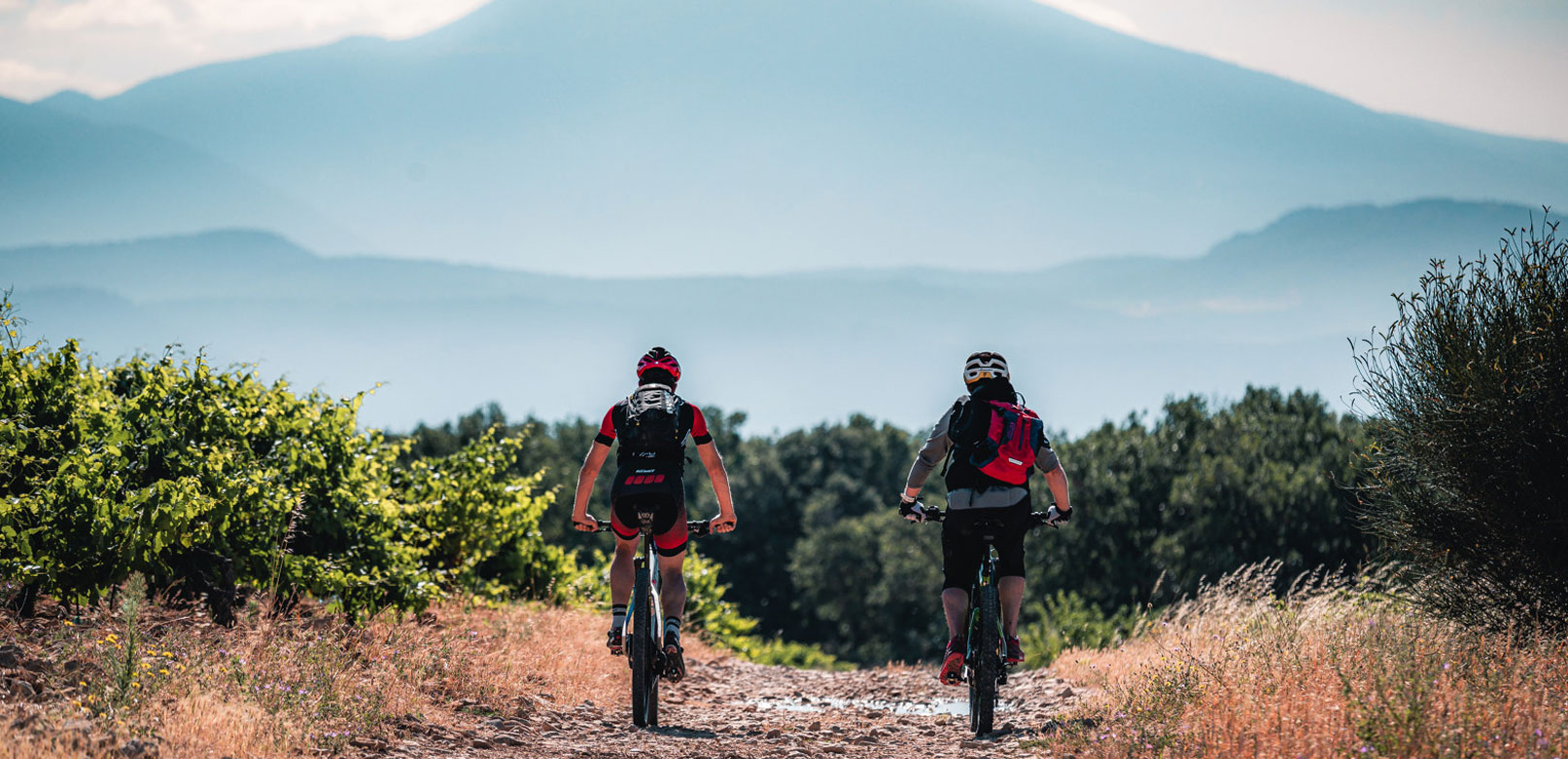 VTT au Ventoux @ Verneuil