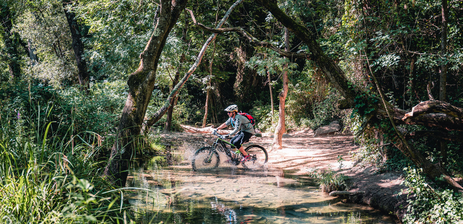 VTT en forêt en Vaucluse @ Verneuil