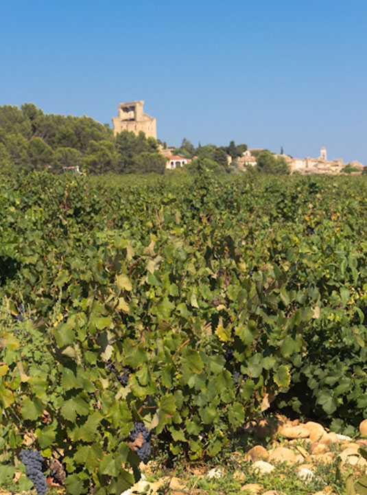 Châteauneuf-du-Pape