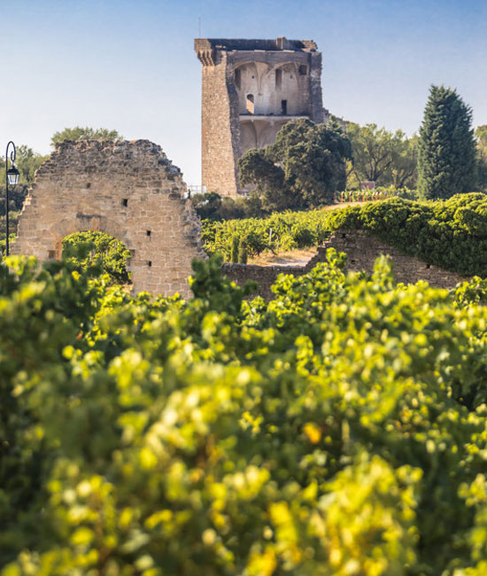 Châteauneuf-du-Pape