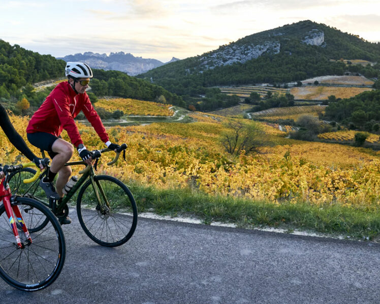 Wijngaarden en fietsen: Di-VIN-duo! © Rosso