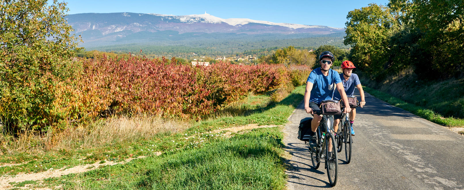 Ventoux à vélo en automne © Rosso