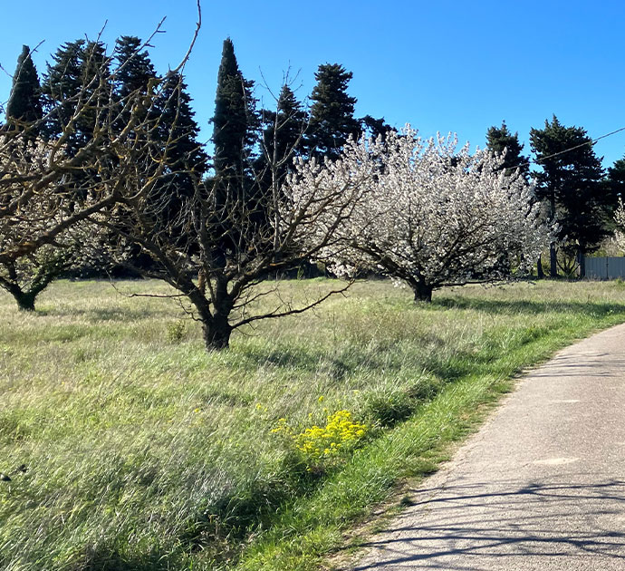 Fietstocht rondom Villeneuve-lez-Avignon