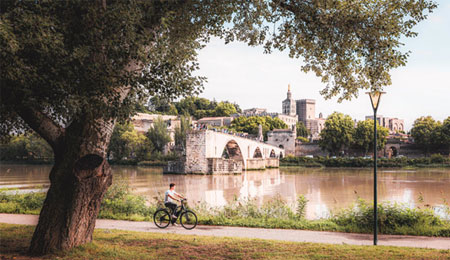 Avignon